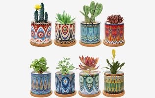 8 Pack Mini Ceramic Flower Planter Pot