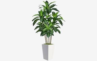 Fake Tree Indoor with White Tall Planter