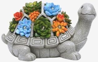 Garden Outdoor Statues Turtle with Succulent
