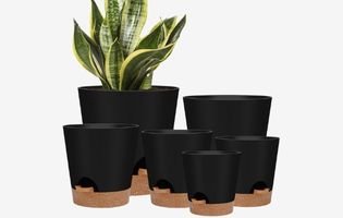 Indoor Watering Planters with Drainage Holes