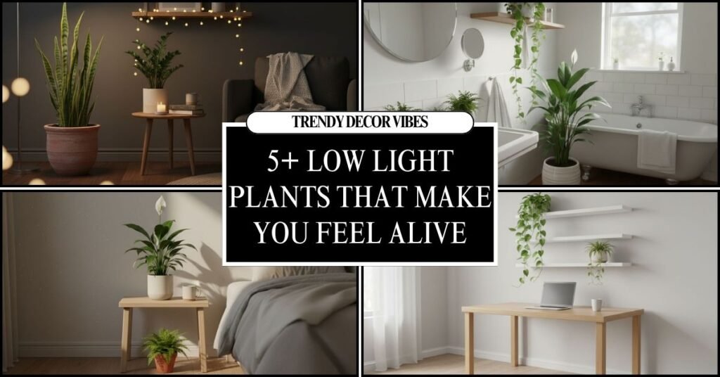 Low Light Plants