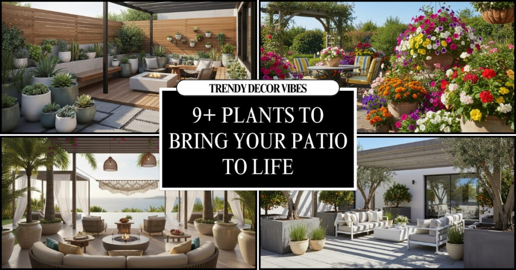 plants to bring your patio to life